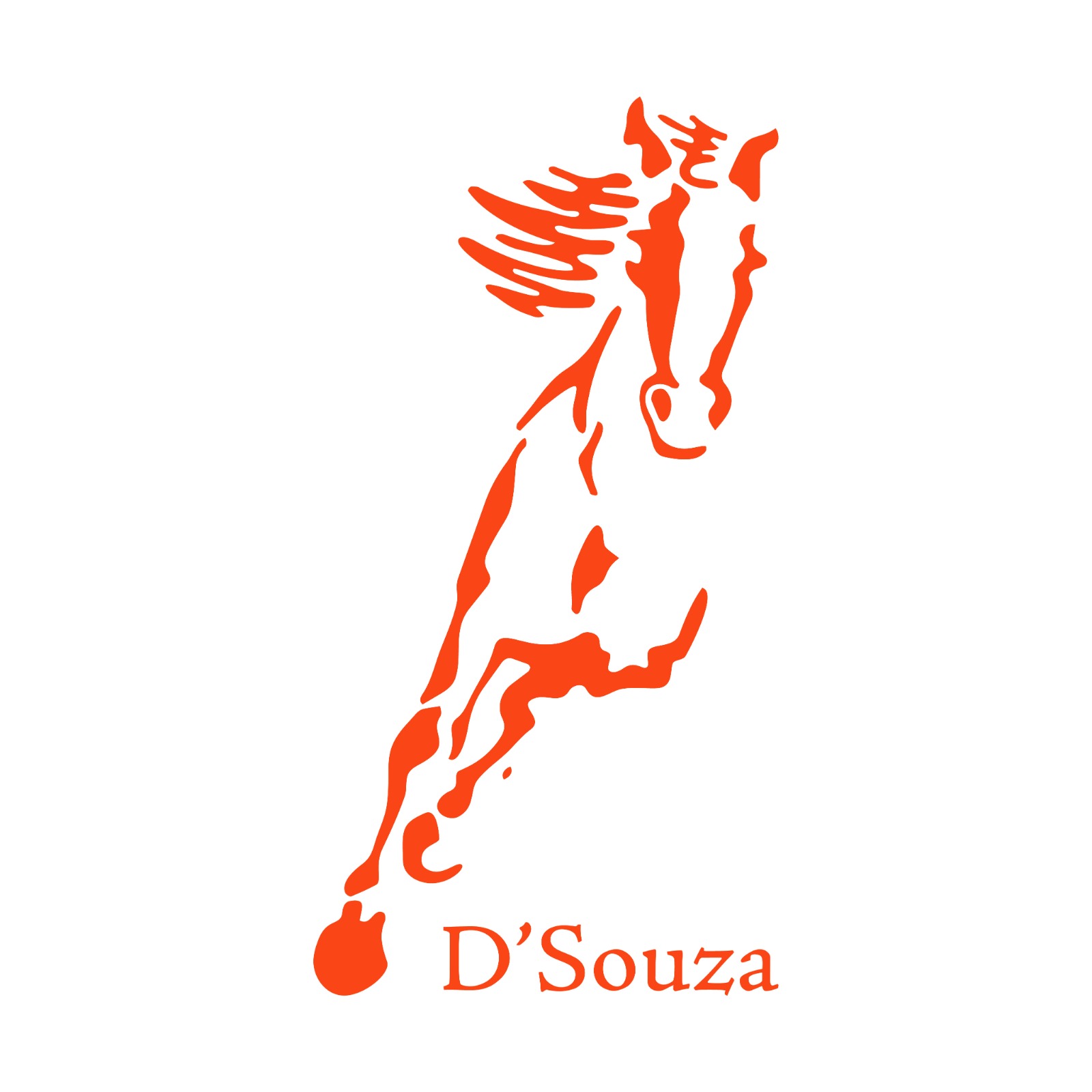 The D'Souza Group logo